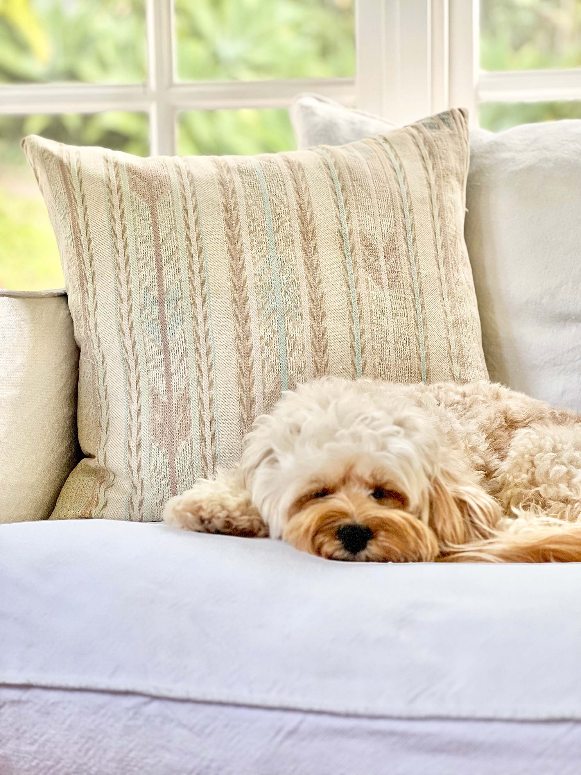 Pastel Zunil Pillow II