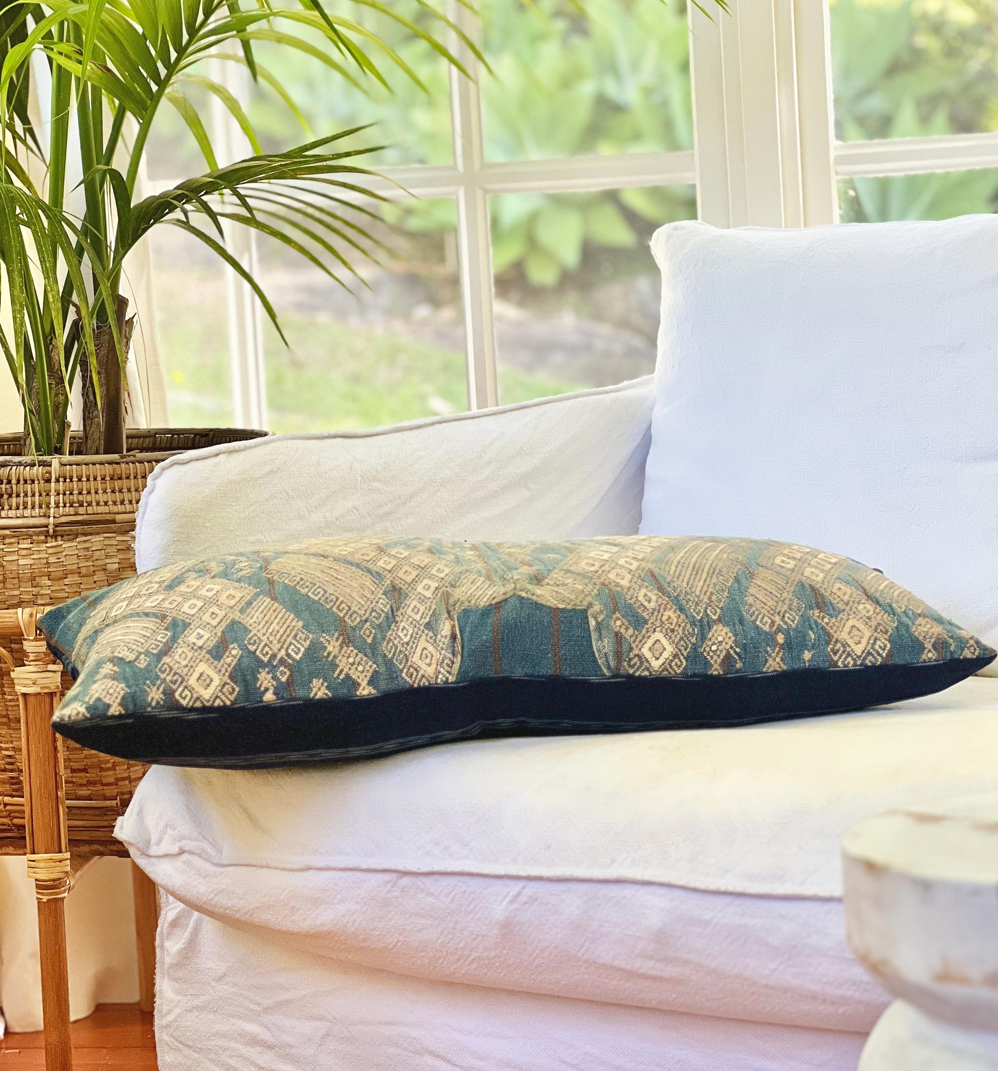 Blue Peacock Nahuala I