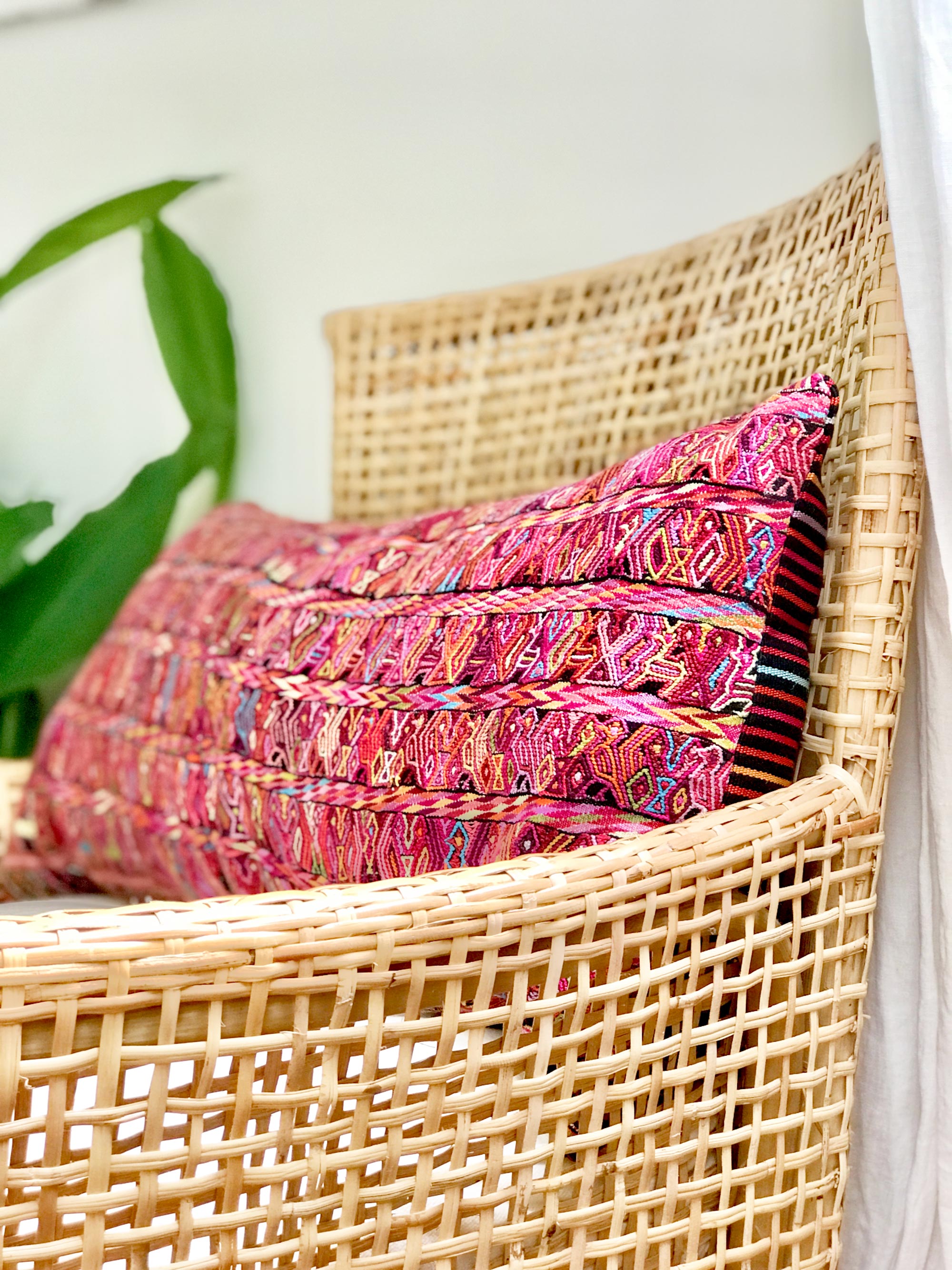 Magenta San Juan Cotzal II