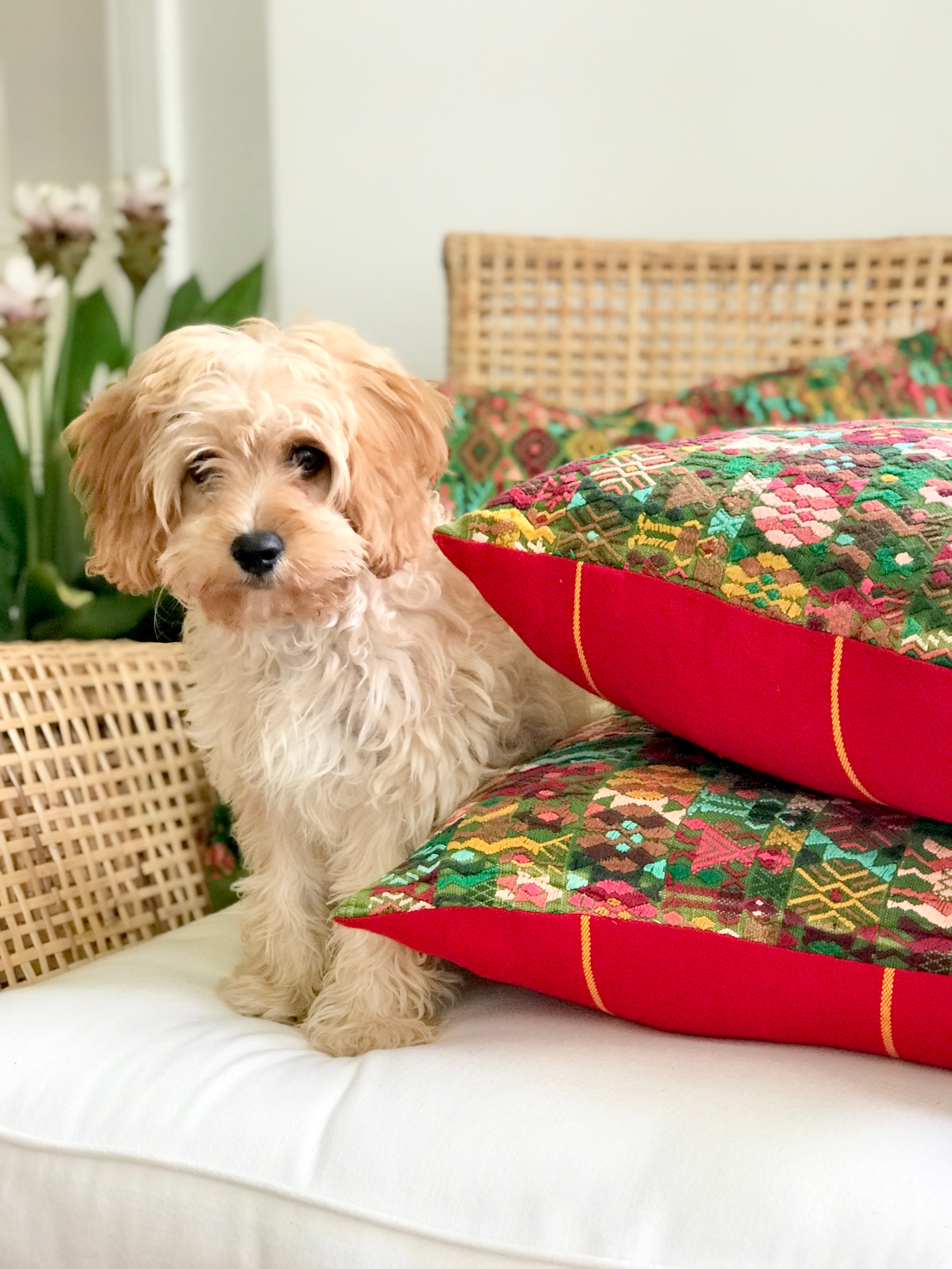 Guatemalan Huipil Pillows - Coban XXI
