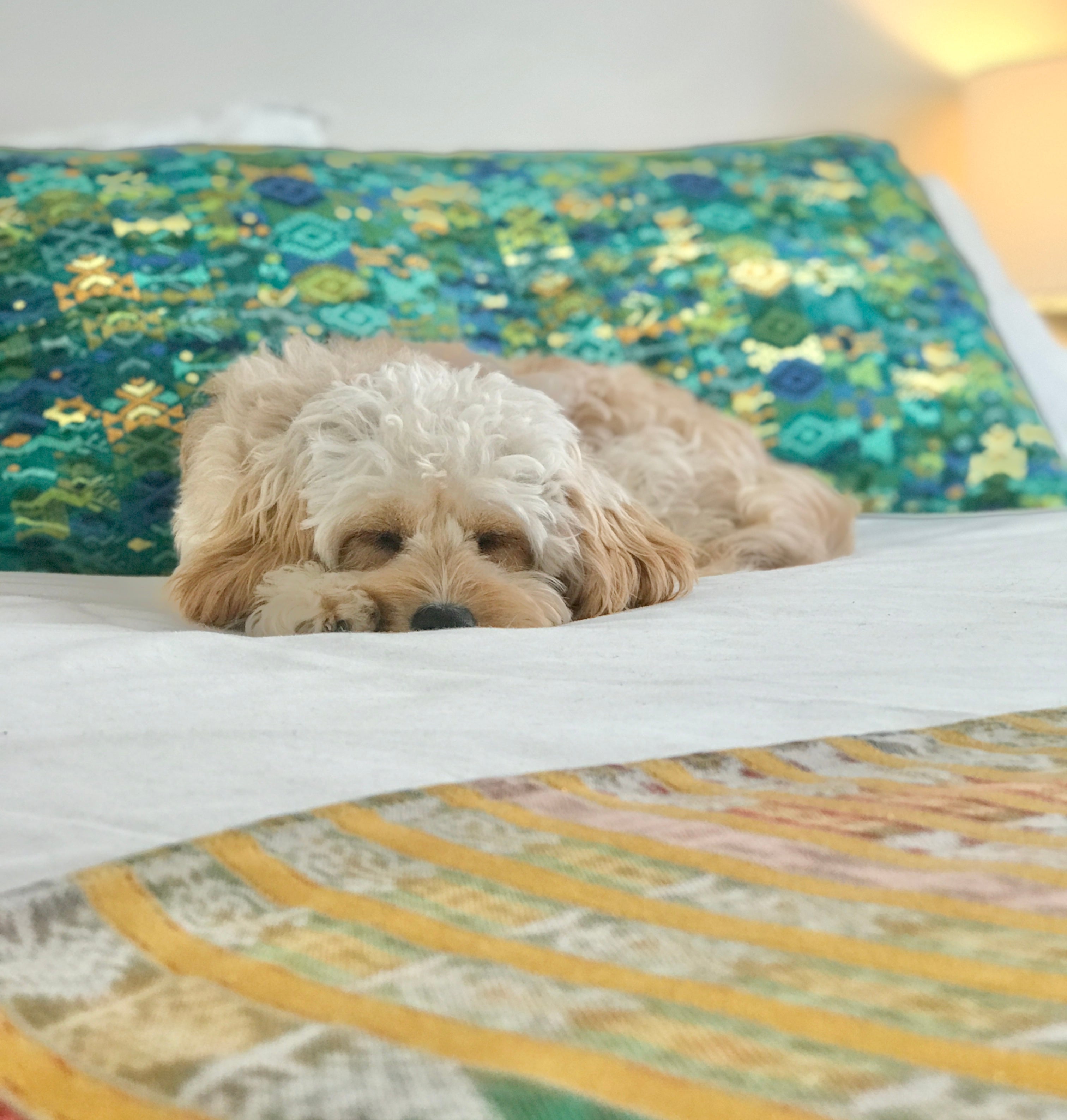 Vintage Textile Pillow - Green Coban XXVI