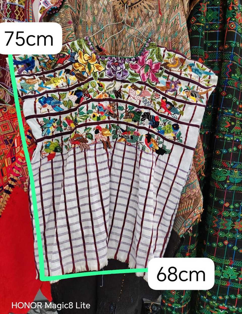 Colourful birds on gingham Santiago huipil #5-424